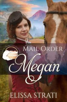 Mail Order Megan (Widows, Brides, and Secret Babies Book 11)