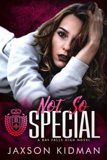 NOT SO Special: a bay falls high novel