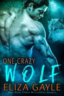 One Crazy Wolf