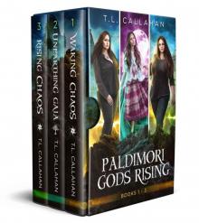 Paldimori Gods Rising Box Set