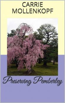 Preserving Pemberley