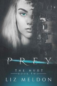 Prey (The Hunt Book 2)