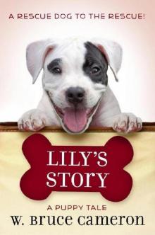 Puppy Tales 07 - Lily's Story