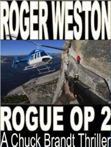 Rogue Op II