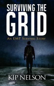 Surviving The Grid (Survival Series Book 1)