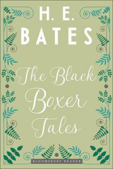 The Black Boxer Tales