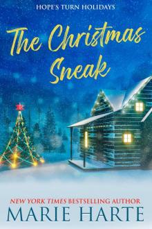 The Christmas Sneak: Hope’s Turn Holidays