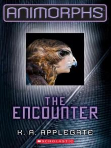 The Encounter