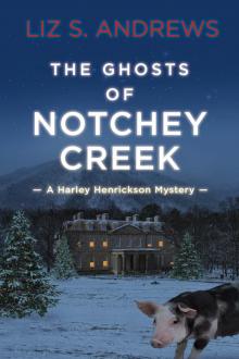 The Ghosts of Notchey Creek