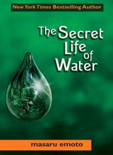 The Secret Life of Water