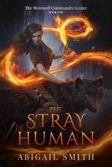 The Stray Human: A collage age urban fantasy with werewolves, werewolf community center book 1