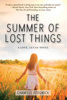 The Summer of Lost Things