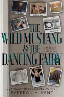 The Wild Mustang & The Dancing Fairy: A Gorgeous Villain Prequel Novella