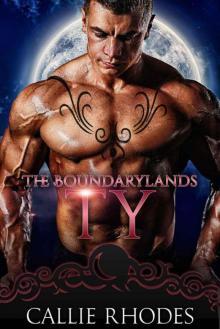 Ty (The Boundarylands Omegaverse Book 2)