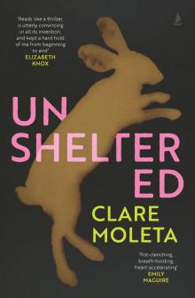 Unsheltered