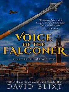 Voice of the Falconer