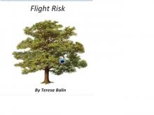 Flight Risk