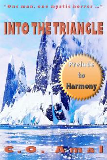 Into the Triangle (Harmony)