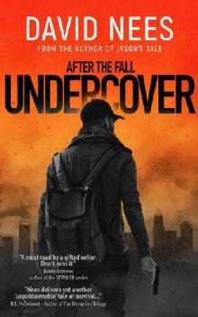 After The Fall (Book 4): Undercover