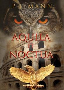 Aquila Et Noctua