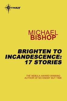 Brighten to Incandescence 17 Stories