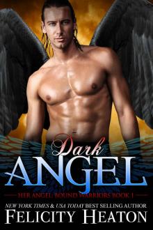 Dark Angel