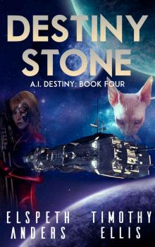 Destiny Stone (A.I. Destiny Book 4)