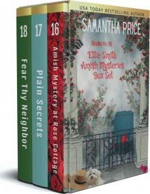 Ettie Smith Amish Mysteries Box Set 6