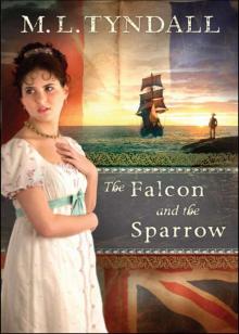 Falcon and the Sparrow