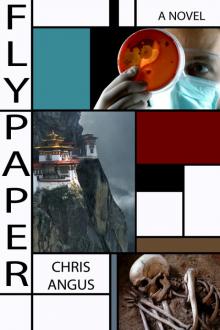 Flypaper: A Novel
