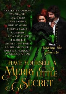 Have Yourself a Merry Little Secret : a Christmas collection of historical romance (Have Yourself a