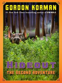 Hideout: The Second Adventure
