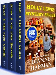 Holly Lewis Mystery series Box Set