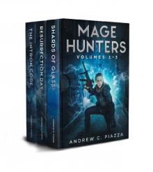 Mage Hunters Box Set