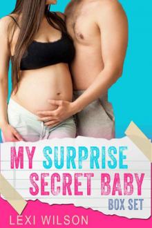 My Surprise Secret Baby (Romance Box Set)