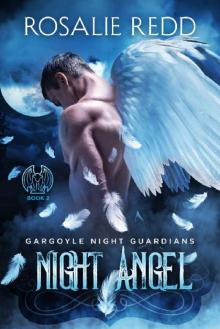 Night Angel (Gargoyle Night Guardians Book 2)