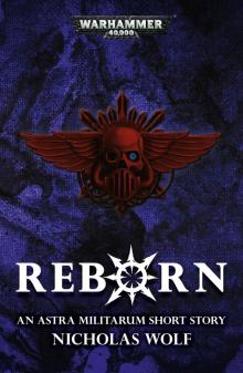 Reborn - Nicholas Wolf