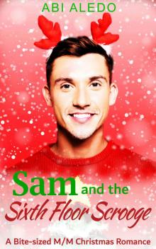 Sam and the Sixth Floor Scrooge: Magical Mistletoe Book One