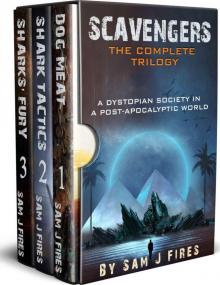 Scavengers Box Set