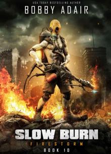 Slow Burn | Book 10 | Firestorm