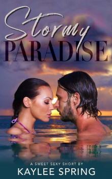 Stormy Paradise: A Second-Chance Romance Beach Read (Sweet, Sexy Shorts Book 14)