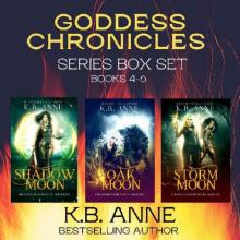 The Goddess Chronicles Books 4-6: Urban Fantasy