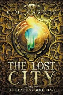 The Lost City: The Realms Book Two: (An Epic LitRPG Series)