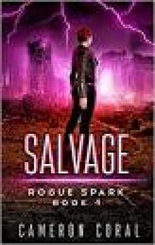 The Rogue Spark series Box Set