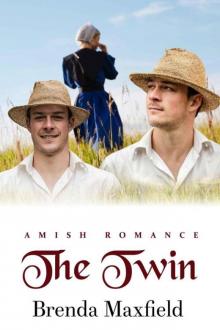 The Twin (Lindy's Story Book 1)