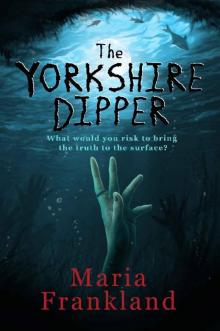 The Yorkshire Dipper