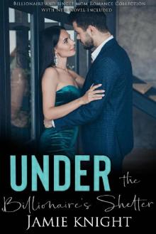 Under the Billionaire's Shelter: Billionaire and Single Mom Romance Collection With New Novel I