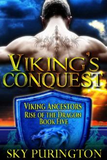 Viking's Conquest