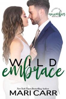 Wild Embrace: A Single Dad Romance (Wilder Irish Book 11)