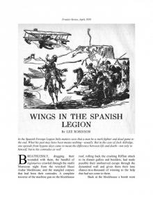 Wings in the Spanish Legion by Lee Robinson